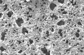 Nylon 6,6