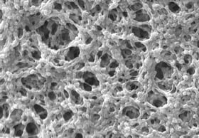 PVDF