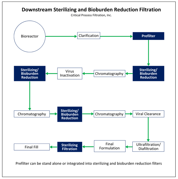 Downstream Sterilizing and Bioburden Reduction Filtration