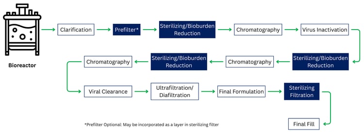 Downstream Sterilizing vs Bioburden-1