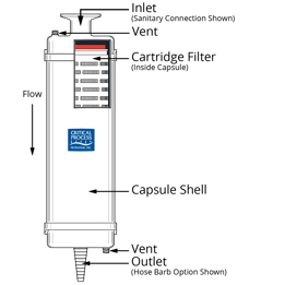 Capsule with cutout color with labels