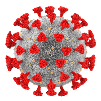 COVID symbol no bkgd (1)