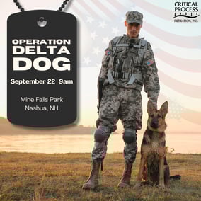 Operation Delta Dog (2)