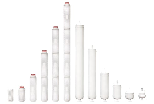 Part Lineup Picture Straight On 4K white with Junior (1)