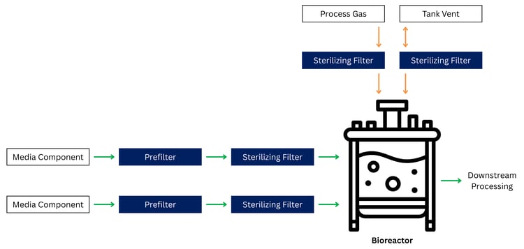 Upstream Sterilizing vs Bioburden