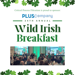 Wild Irish