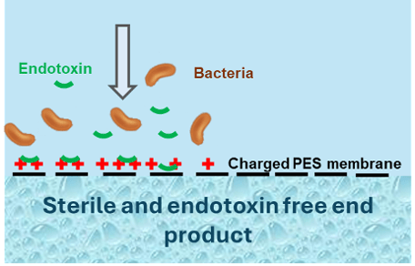 Sterile and Endotoxin Free End Product