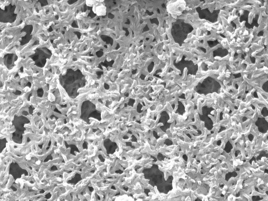 Nylon side A 5000x