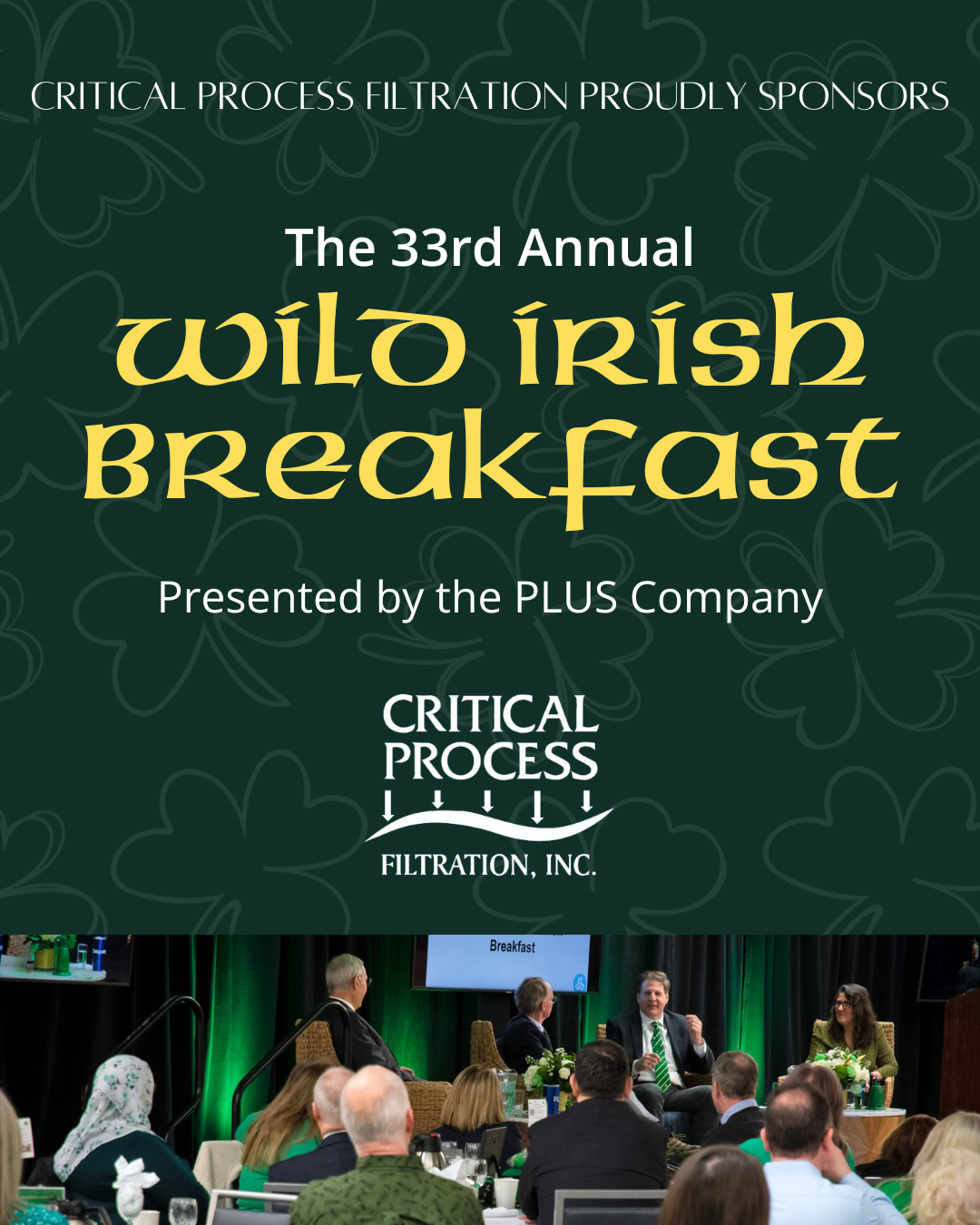 Wild Irish Breakfast