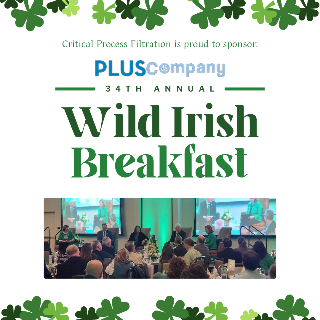 Wild Irish
